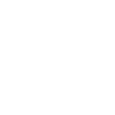 loading icon